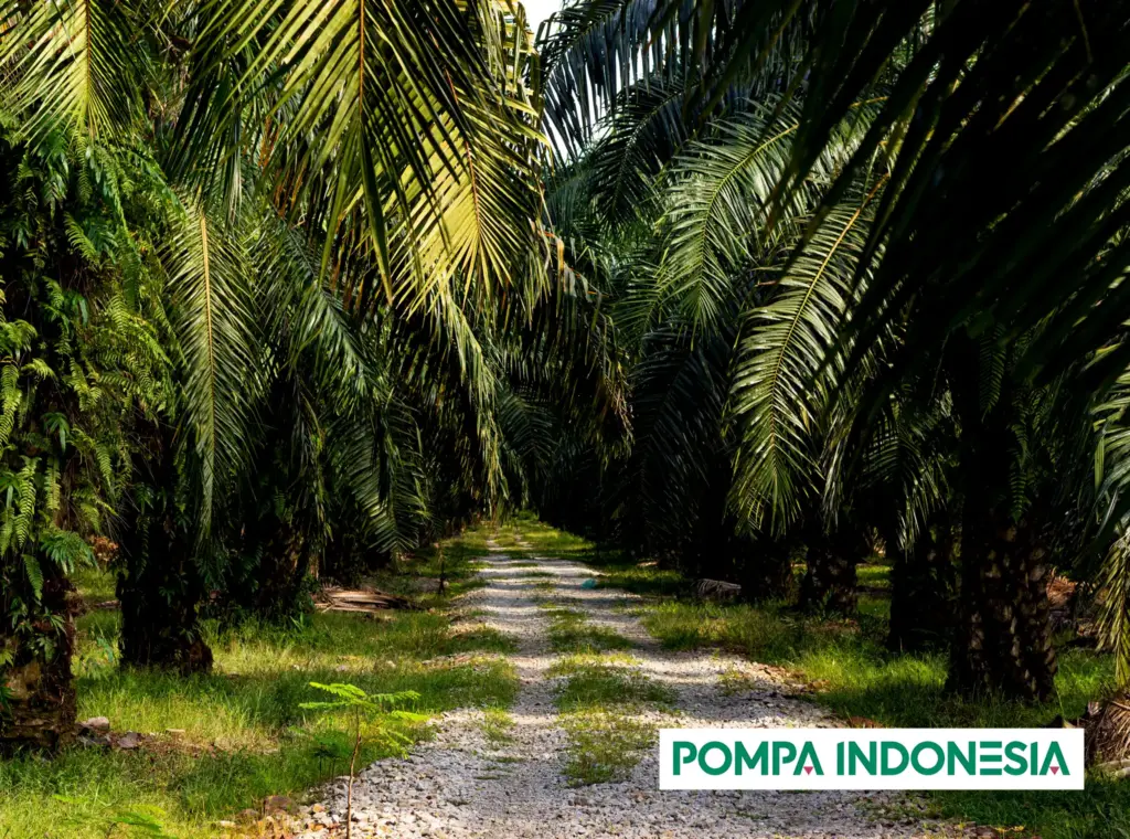 pompaindonesia palm plantation